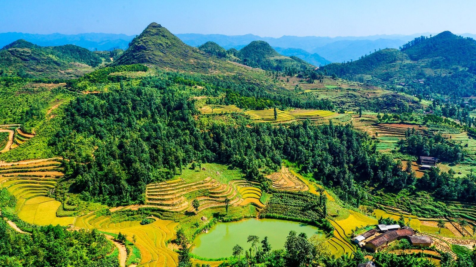 Rice terraces in Ha Giang