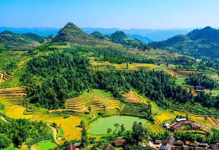 Rice terraces in Ha Giang